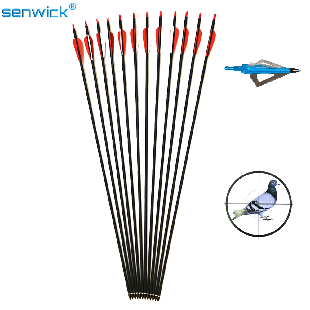 

12 x Carbon Arrow Spine 500 With Replaceable Arrowhead 32' Length Archery for Compound Recurve Bow gift