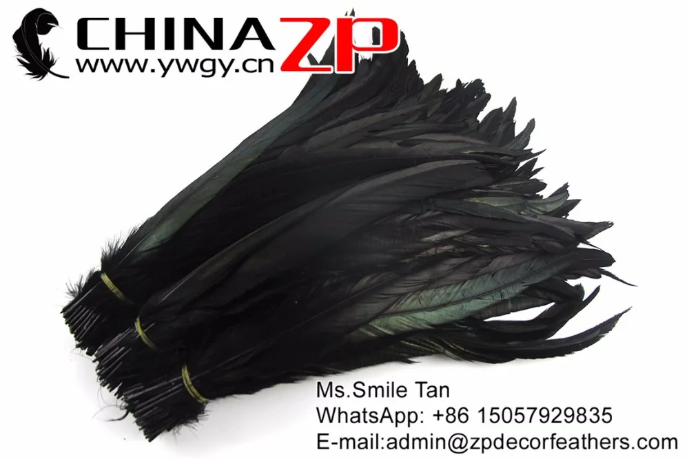 6 Natural Directly Dyed Decoration Rooster Tail Feathers (10)
