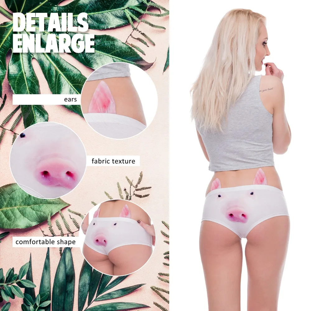 41070 pig (00)