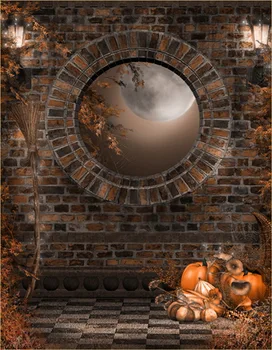 

7X10ft Thin vinyl cloth photography backdrops computer Printing backdrops halloween party backgrounds for photo studio Ha-036