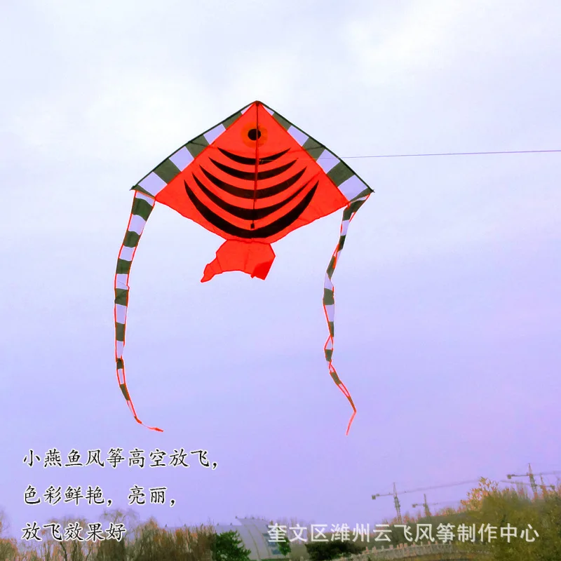 kite in spanish