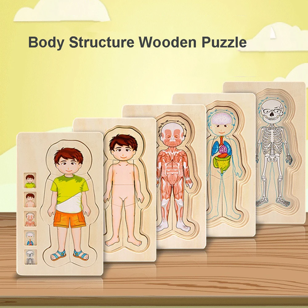 

Multi-Layers Wooden Puzzle Boys Girls Body Structure Human Body 3D Puzzle Children Educational Early Learning Toys