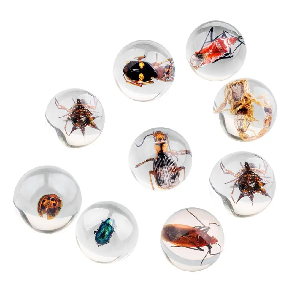 

Resin Decorations Insect Specimen 2.5CM Round Transparent Resin DIY Crafts Free Shipping Wholesale