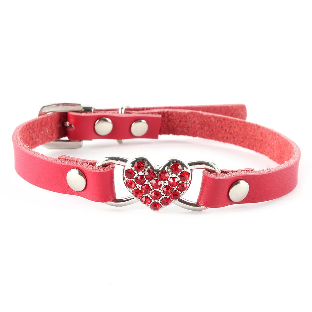 Pets at home collars Sheri Heikkila