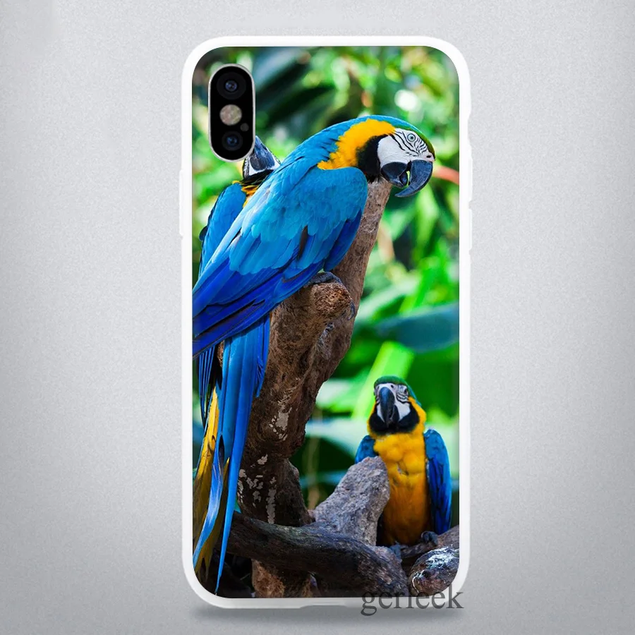 Чехол для телефона с изображением животных птиц попугаев iPhone 11 Pro 5 5S SE 6 6S 7 8 Plus X XR XS