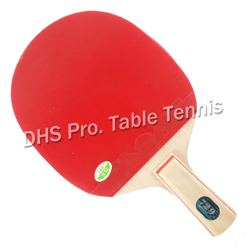 RITC 729 2010 # pips-in настольный теннис pingpong ракетка + летучая мышь чехол Shakehand длинная ручка FL