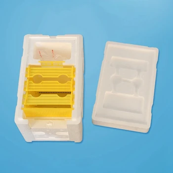 

Beekeeping Supplies Kit Plastic Foam Beehive Frames Beekeeping King Pollination Breeding Box for Beekeeper