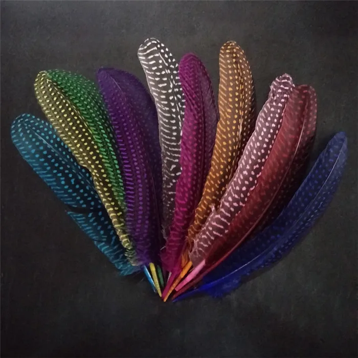 pearl pheasant feathers 1 (14)