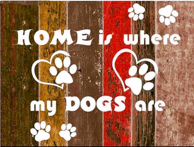 HTB1dpPVmL9TBuNjy1zbq6xpepXaB