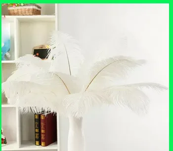 

Free shipping Cheap ostrich feather 100pcs/lot 18-20 inches 45-50cm white Ostrich plumage ostrich plume