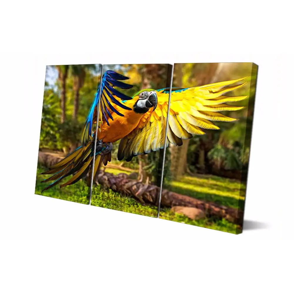 

Drop shipping 3 Panel printed painting Parrot painting Wall Art Picture Home Decoration Living Room Modern painting LS754