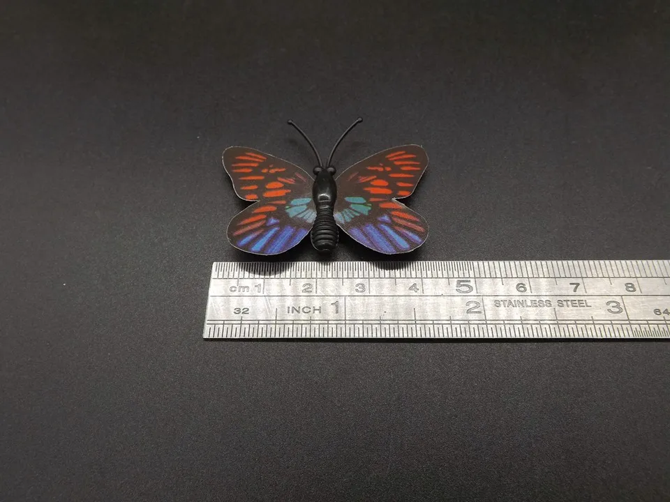 I246-Butterfly (10)