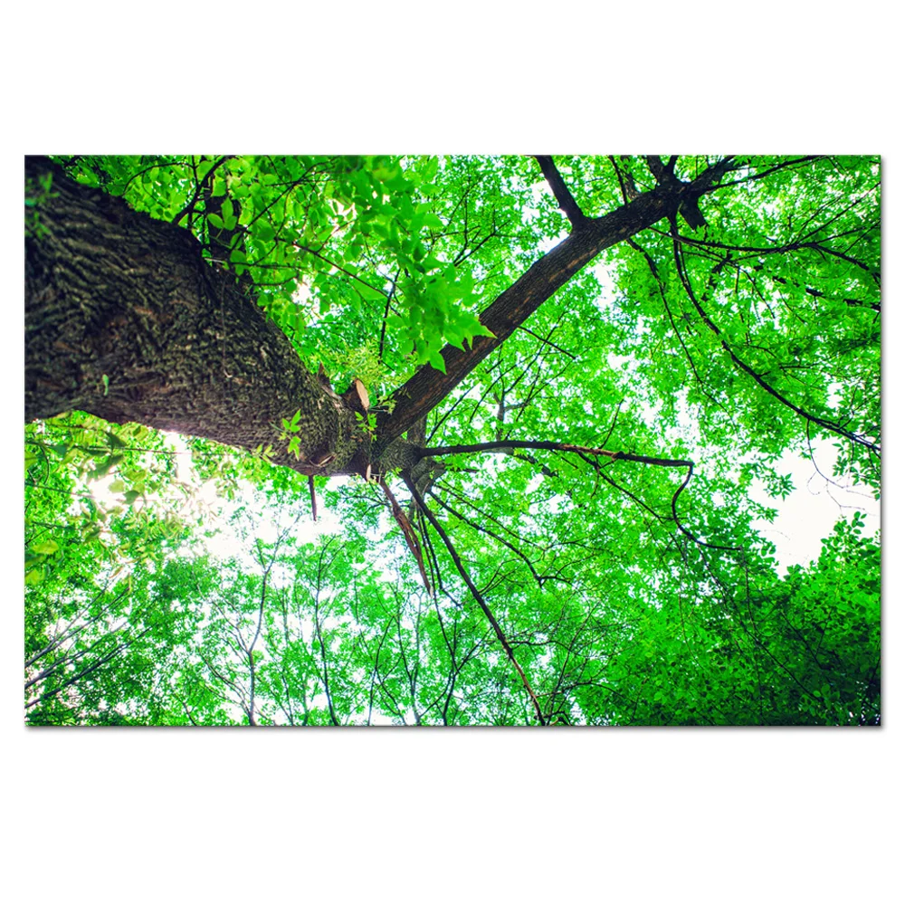 1 Piece HD Forest Green Tree Canvas Painting Nature Landscape Modern