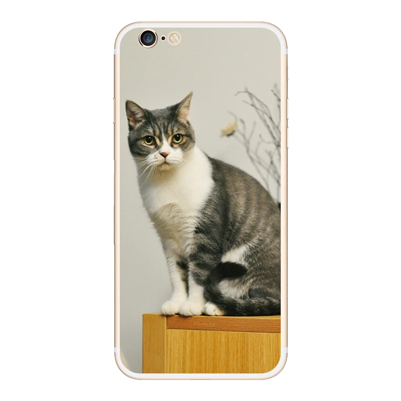 Bauqee ультра тонкий чехол для iPhone 6 s cat панда Тигр Животные милые Телефонные Чехлы