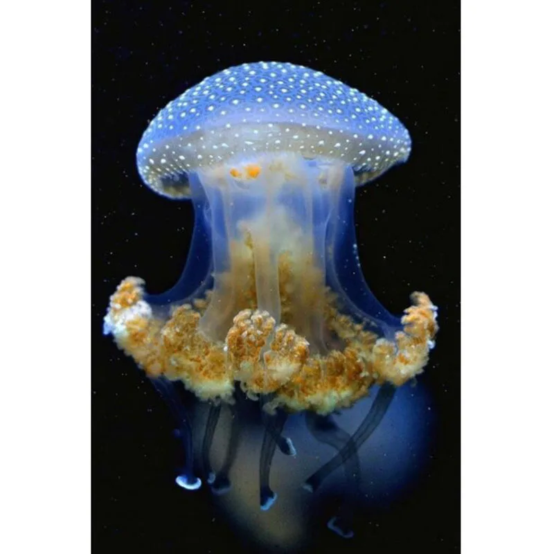5D Diamond Mosaic Jellyfish Diamond Painting Cross Stitch Full Square