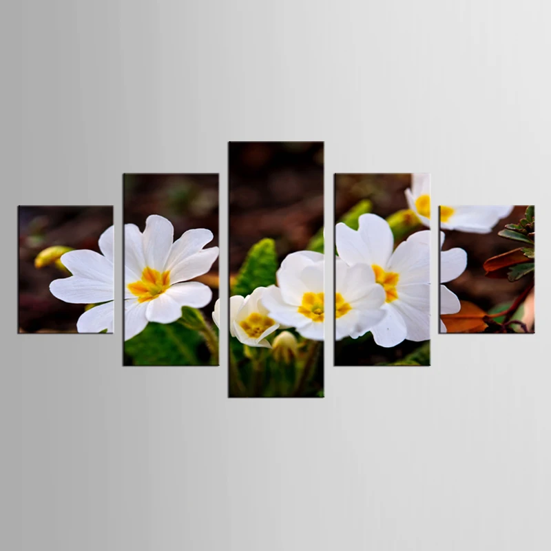 

5 Pieces/set Modern Home Wall Decor Canvas picture Art White Flowers HD Print Painting Canvas art