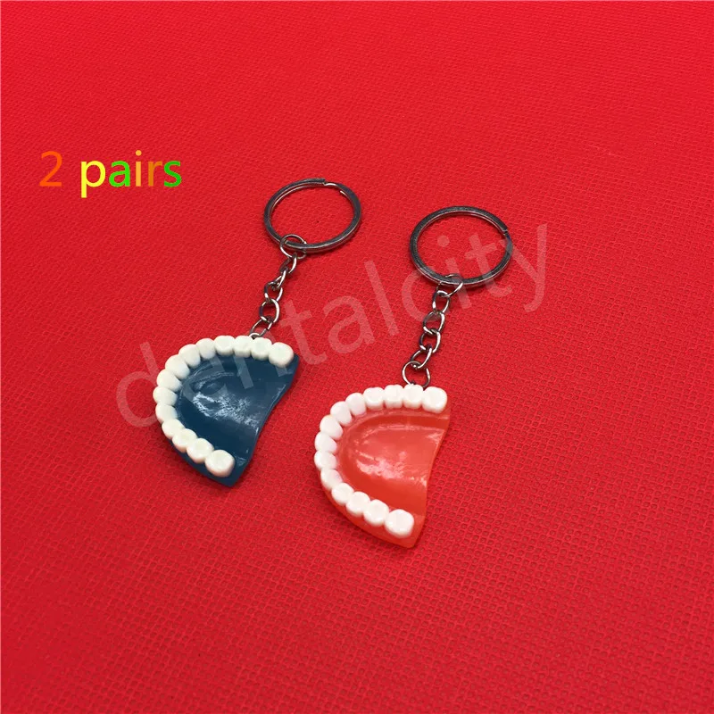 

4pcs/2 pairs Cartoon Teeth Keychain Dentist Decoration Key Chains Stainless Steel Tooth Model Shape Dental Clinic Gift