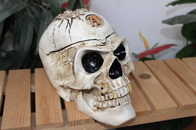 остеология череп лицевая кость. антропогенез черепа. имплант для черепа головы. седловидная кость черепа. увеличение черепа.