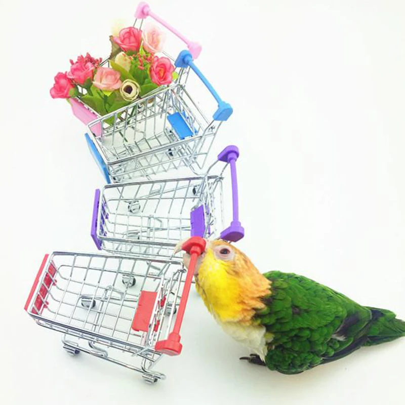 Попугай птица игрушка супермаркет корзина для покупок интеллект рост коробка дети G01198