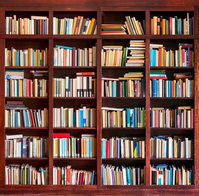 Bookshelf Photography Backdrops For Wedding Digital Printed Bookshelf Photography Backdrops For Wedding Digital Printed Background Vinyl Studio Props Fotografia Back To School Theme In From Consumer
