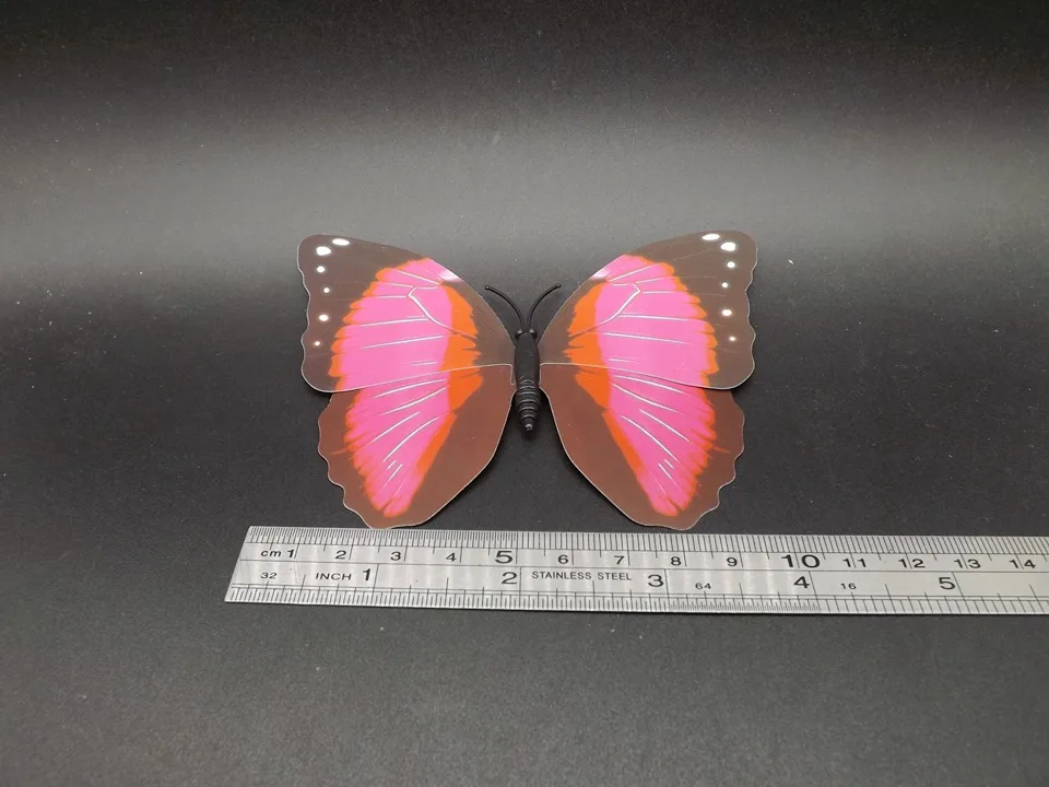 I235-Butterfly (9)