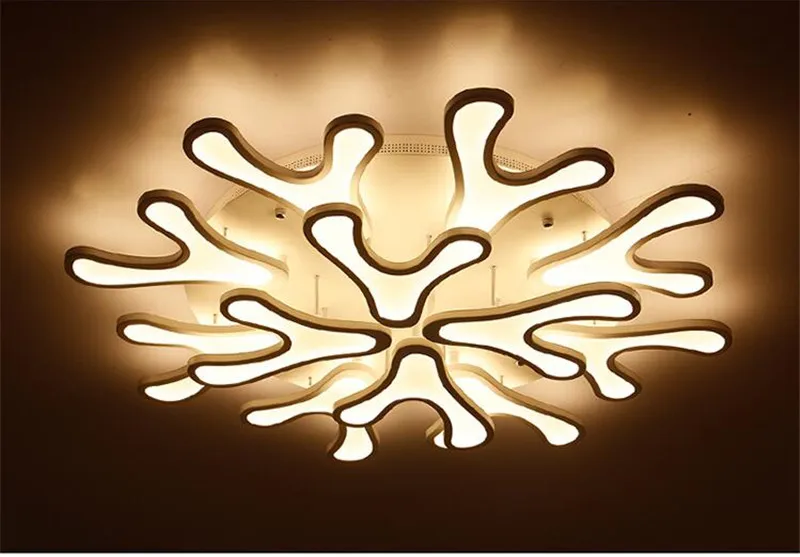 Post modern ceiling lamp (19)