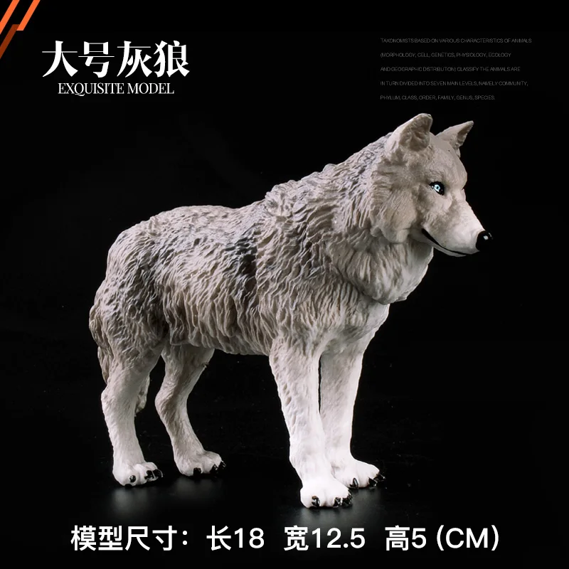 

Original wild life zoo animal model Big Gray Wolf Figurine figures kids educational toys children gift collecitible doll