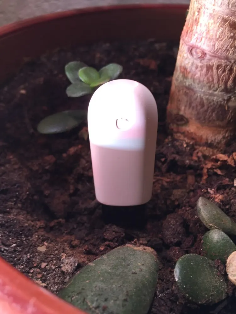 Xiaomi Mi монитор Флора международная версия цифровые растения Трава цветок уход