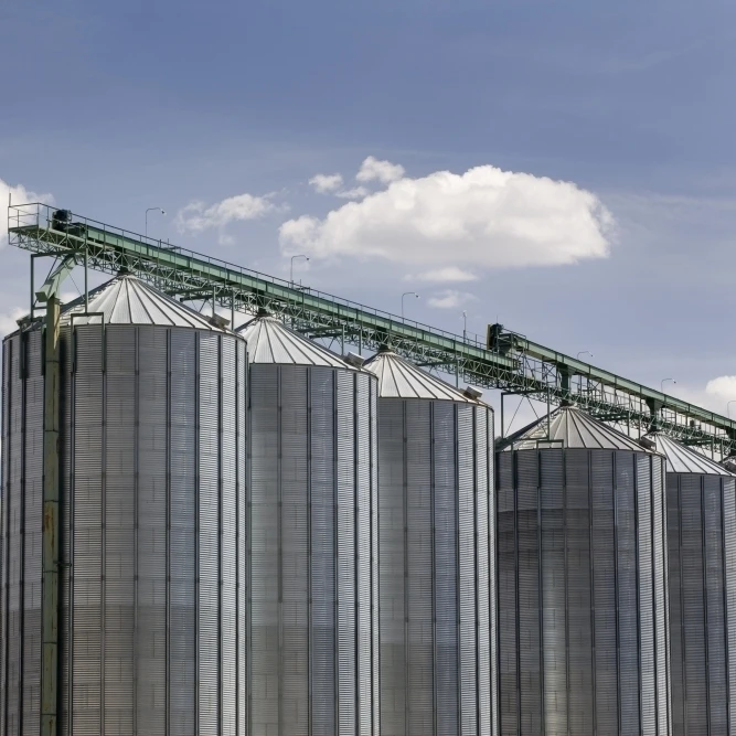 Calgary  Alberta  Canada; A Row Of Large Grain Bins Poster Print (38 x 24)