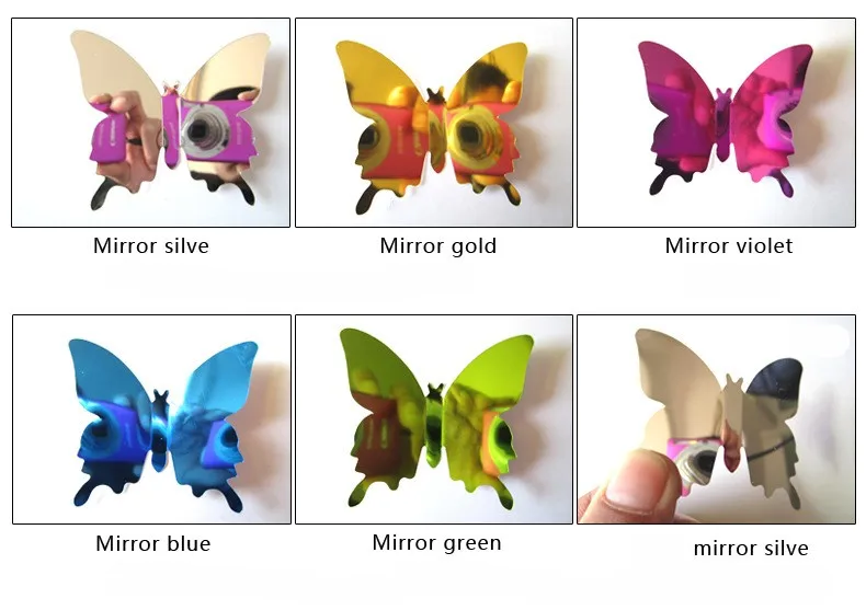 3056204609_1817757375