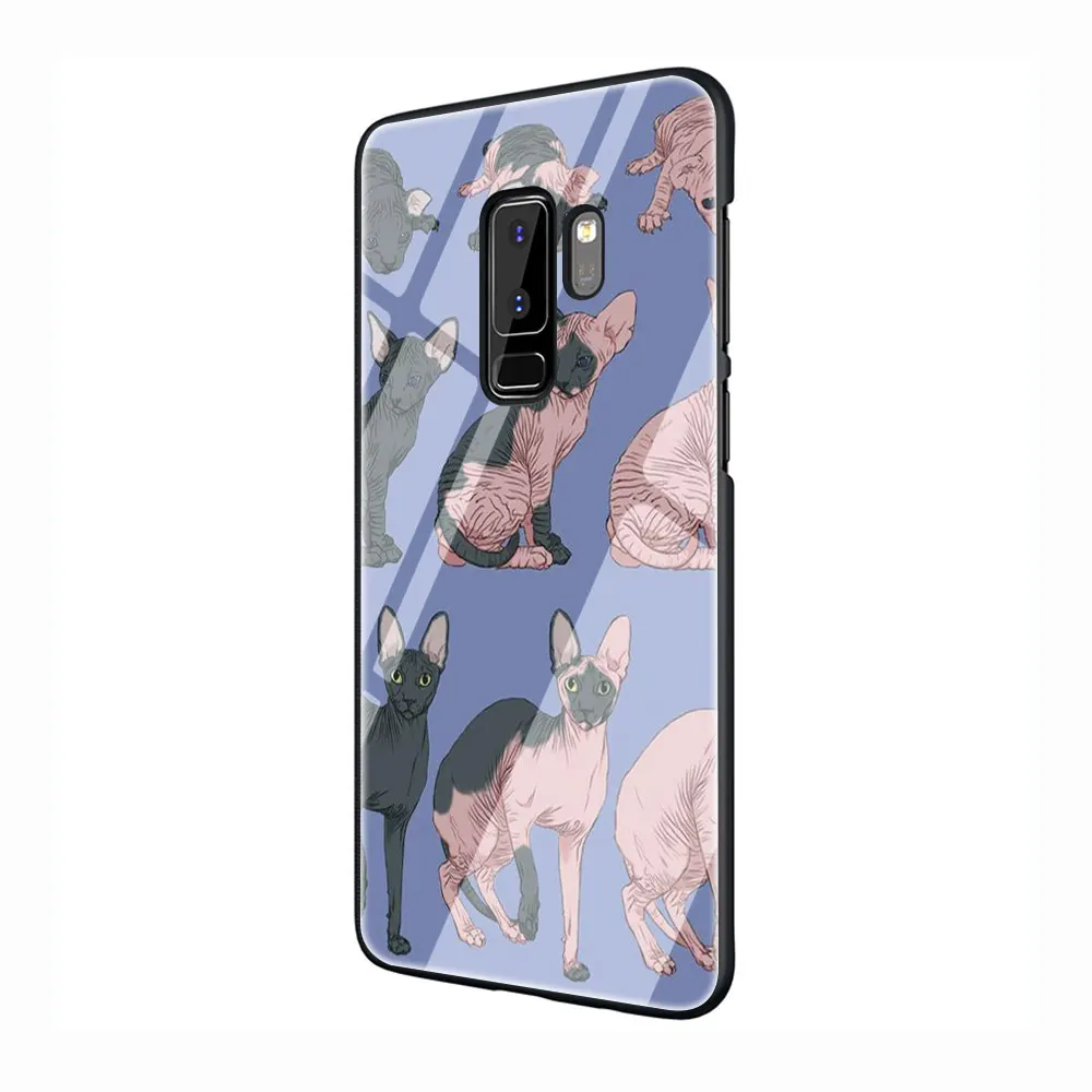 Кошка Сфинкс закаленное Стекло Телефон чехол для Galaxy S7 edge S8 9 10 Plus, Note 8, 9, 10, A10 20 30 40 50 60 70 - Цвет: G6