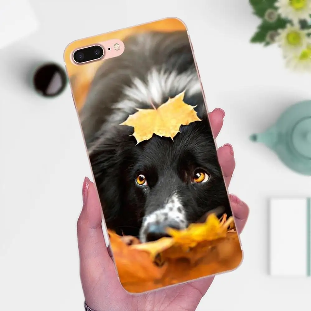 Аксессуары для телефона Border Collie Dog Breed чехол Huawei P8 P9 P10 P20 P30 Mate 7 8 9 10 20 Lite Plus Pro