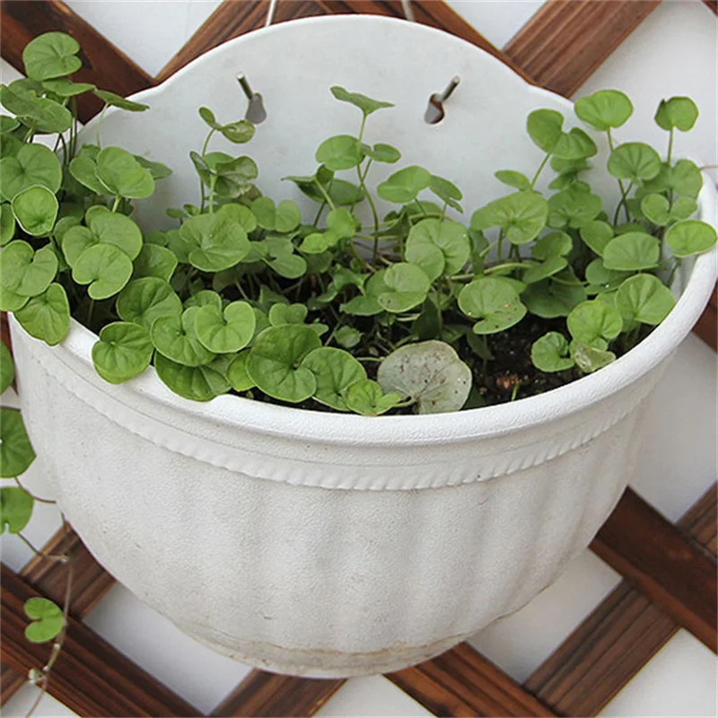 Прекрасный DIY Сад стене висит корзины горшок подвесные корзины ...