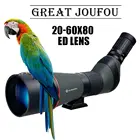 Wholesale Sports & Entertainment