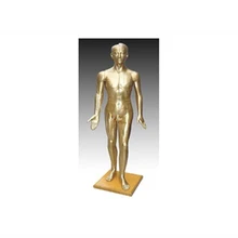 Human Acupuncture Model(acupuncture manikin) 178CM BIX-Y1002 MQ009