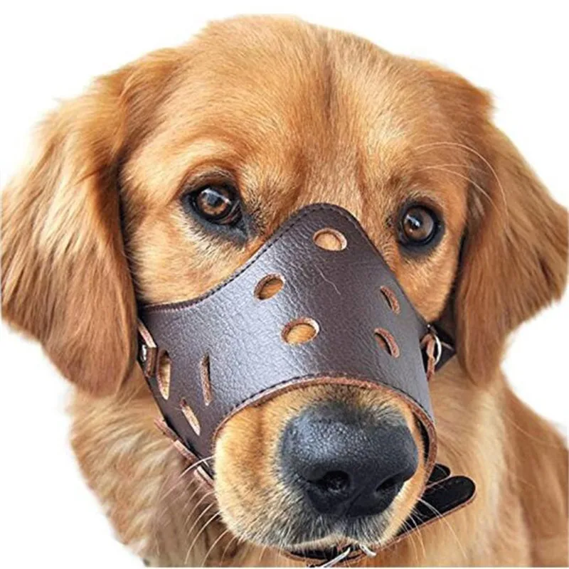 

Pitbull Dog Muzzle Leather Amstaff Muzzles Staffordshire Terrier Secure Basket Breathable and Adjustable