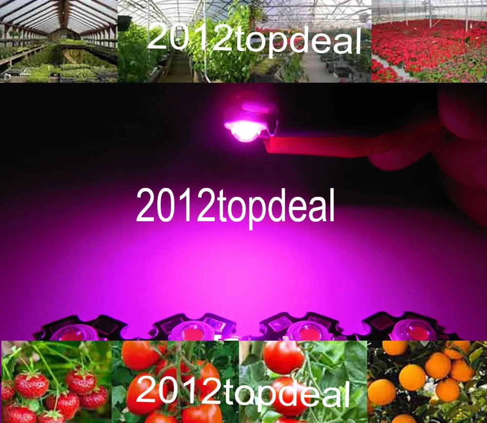Hydroponic 1W//3W//5W Full Spectrum white 400nm-840nm Led Grow Diodes F Plant Grow
