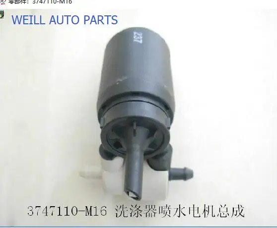 Двигатель мойки WEILL 3747110-M16 в сборе для GWM PERI