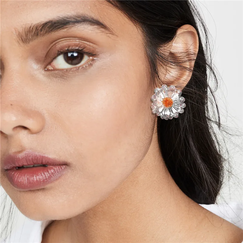 

AY Classic Cute Geometry Transparent Drop Earrings Newest Acetic Acid Acrylic Leopard Drop Earring for Women Fashion Jewelry