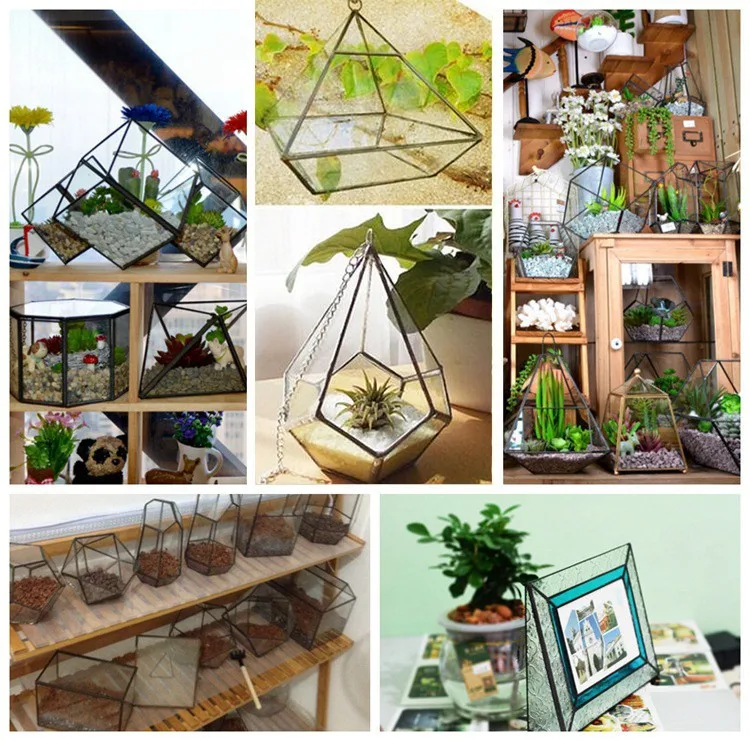 Glass Terrariums1