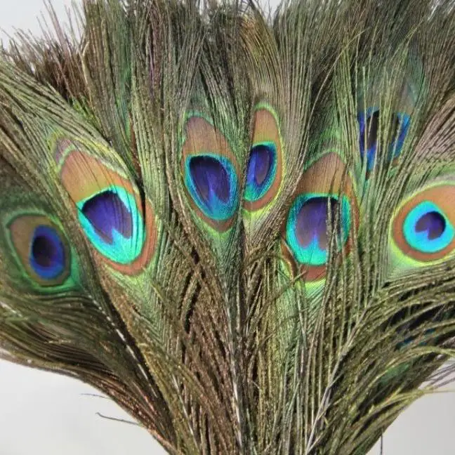 

Boutique Pack of 25pc Natural Peacock Feathers 10-12''