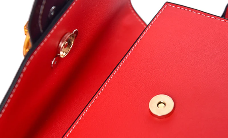 Luxury Women Fashion Rivet Handbag Metal Lion Head Female Wide Shoulder Bag Famous Design Lady Flap Bolsa Mini Crossbody SS3501 (15)