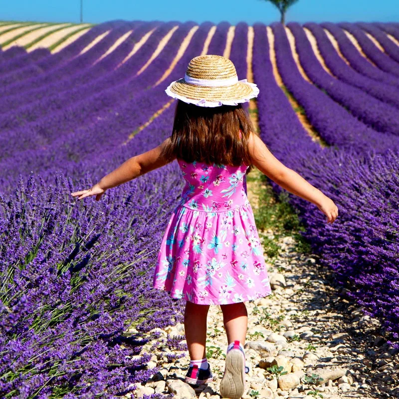 TB1ul_sfbGYBuNjy0FoYXIiBFXa_M2_