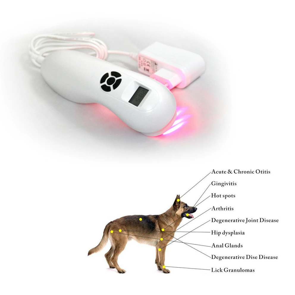 

Powerful Veterinary Dog and Horse Cat Animals Pain Relief LLLT Therapy Device by 808nm Safety Cold Laser Machine