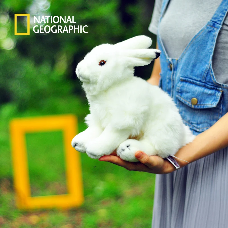 Милый 23 см Полярный заяц Lepus arcticus кролик моделирование реалистичные мягкие плюшевые игрушки