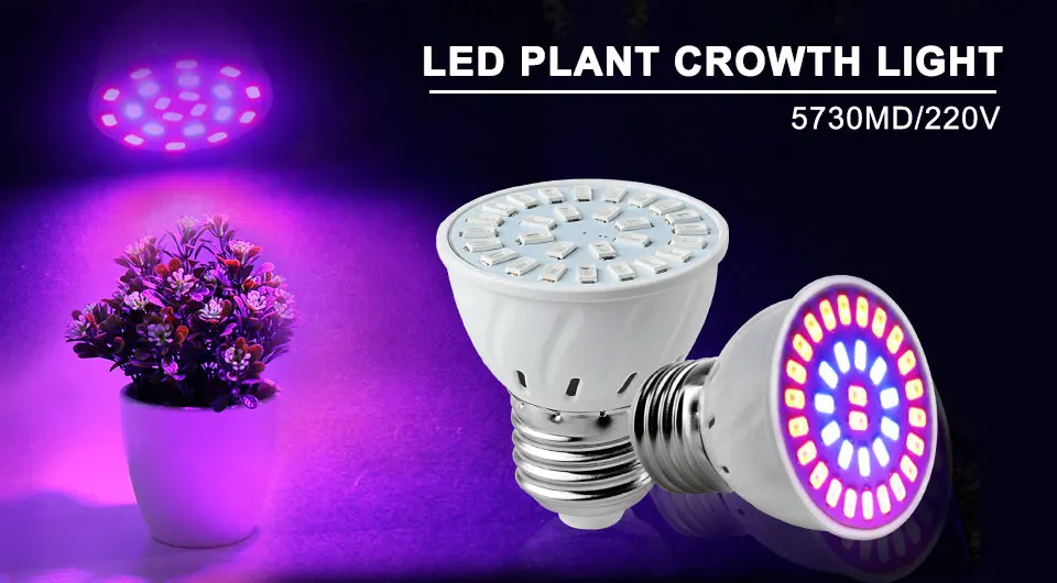 4 шт E27 светодиодный светать полный спектр светодиодный завод лампы 220 V красные, синие Фито лампа для растений в помещении парниковый