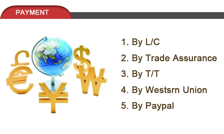 payment