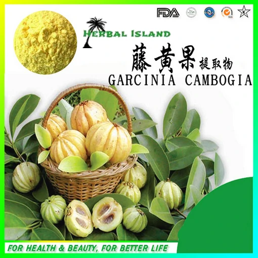 Best Price Diet Pills Garcinia Cambogia Extract 300g LOT