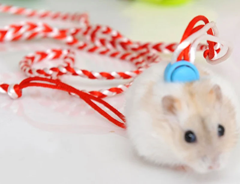 Adjustable Pet Hamster Leashes