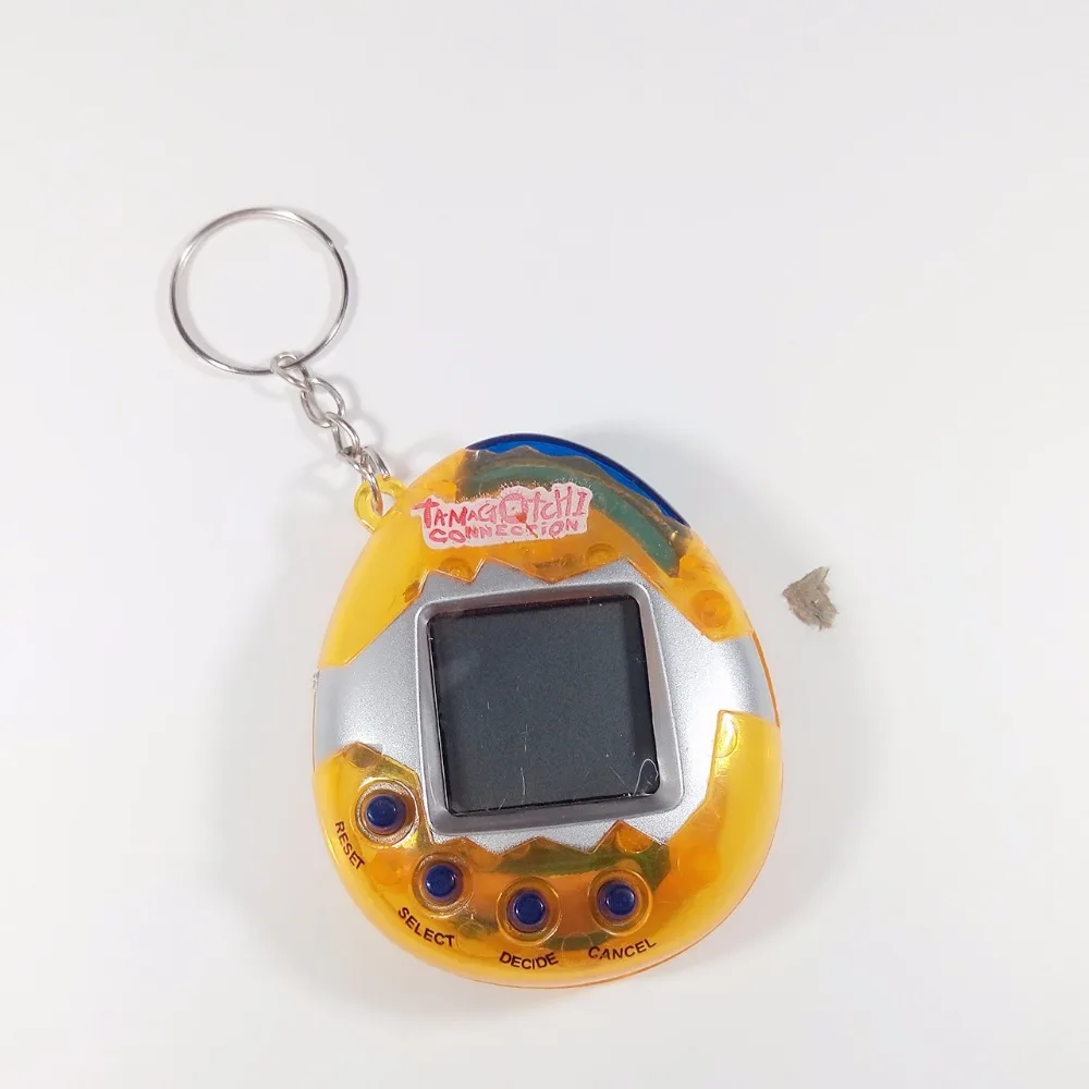 7448189169_743356253